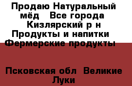 Продаю Натуральный мёд - Все города, Кизлярский р-н Продукты и напитки » Фермерские продукты   . Псковская обл.,Великие Луки г.